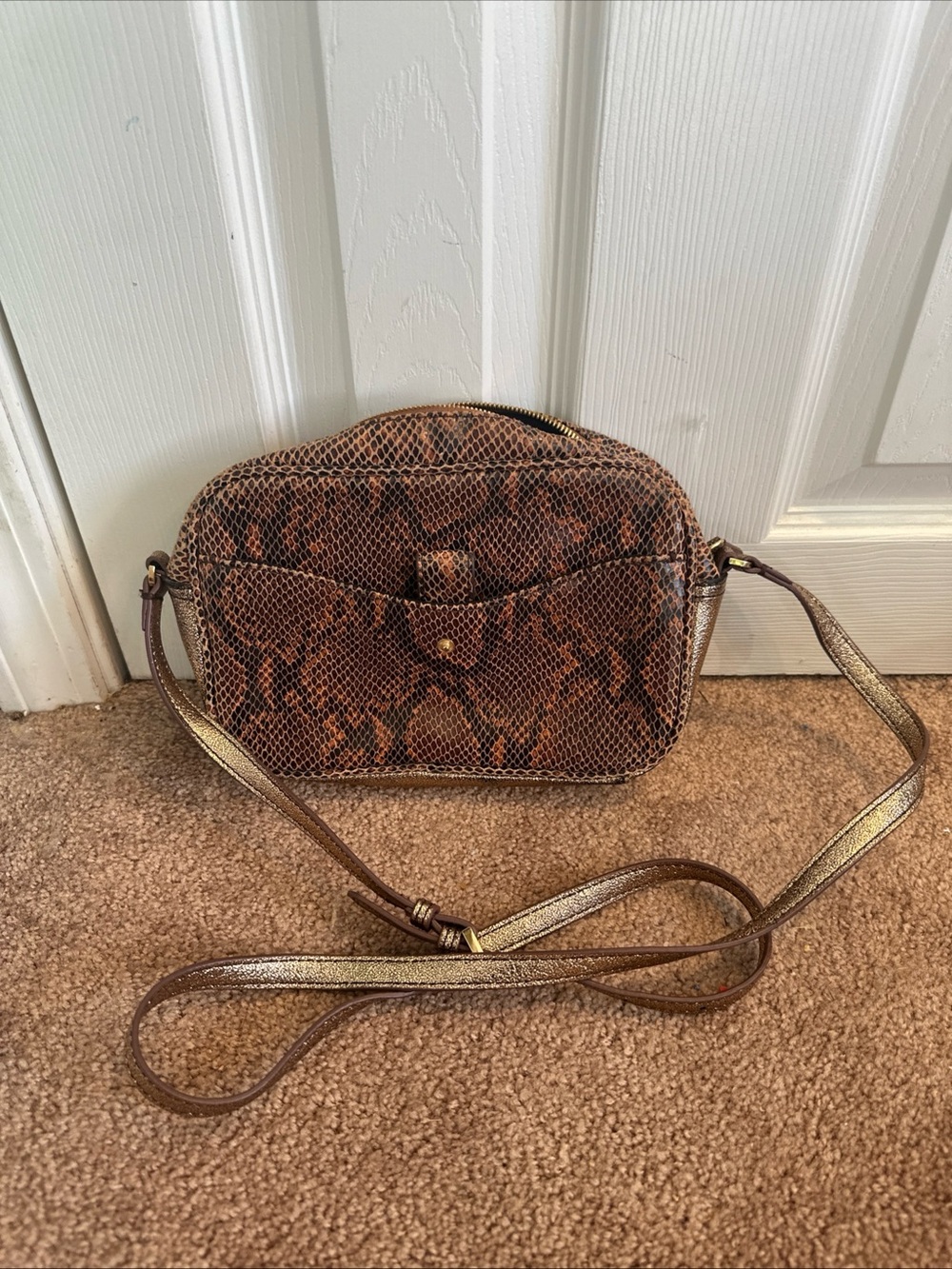 G.I.L.I. Snake-Print Crossbody Bag in Brown and Gold